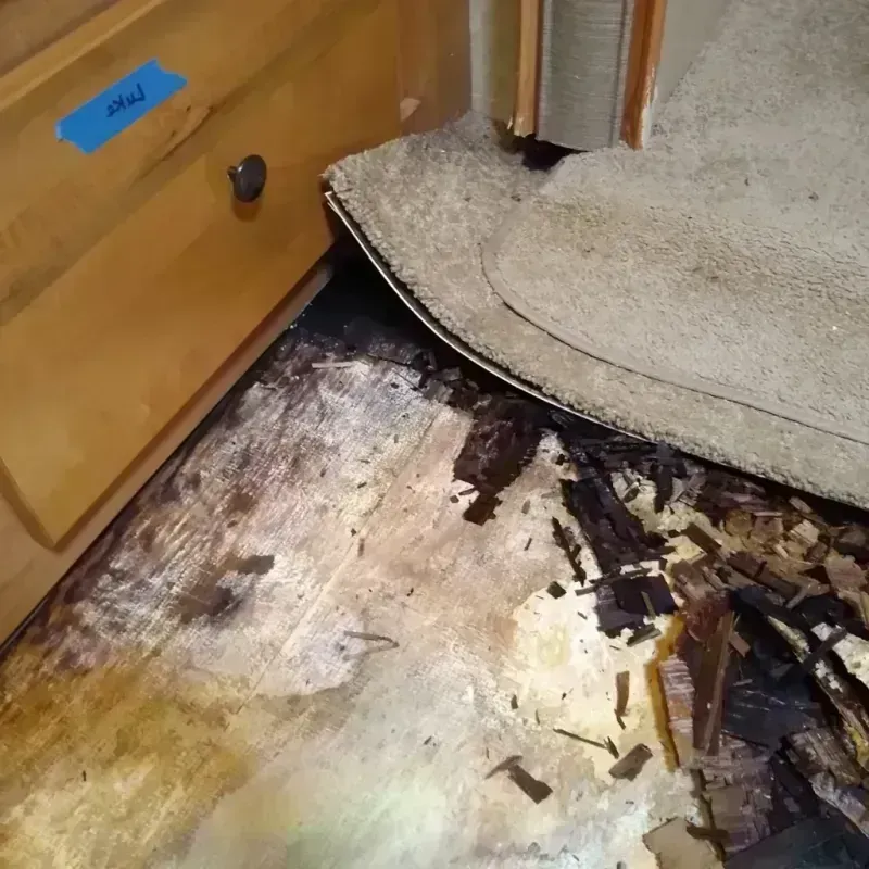 Best Wood Floor Water Damage Service in Edgewater, FL